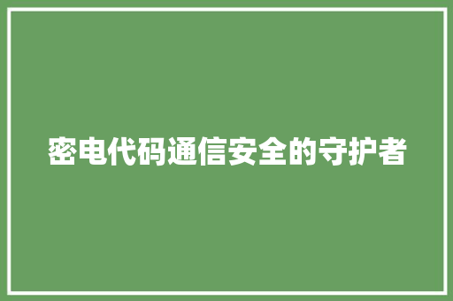 密电代码通信安全的守护者