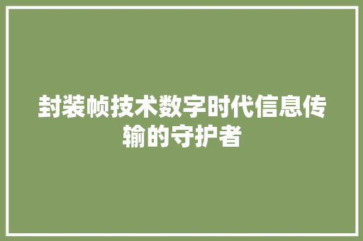 封装帧技术数字时代信息传输的守护者