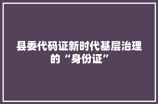 县委代码证新时代基层治理的“身份证”