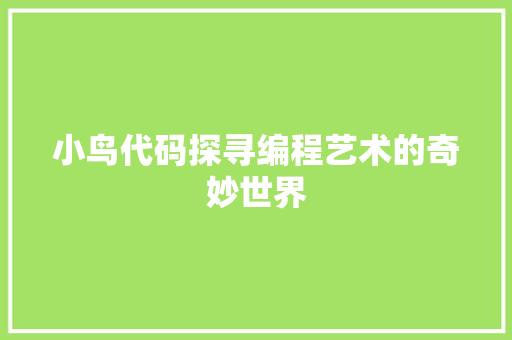小鸟代码探寻编程艺术的奇妙世界