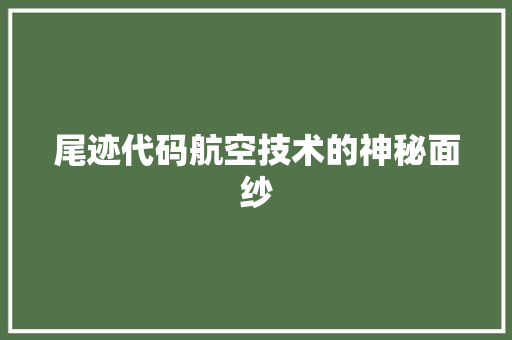 尾迹代码航空技术的神秘面纱
