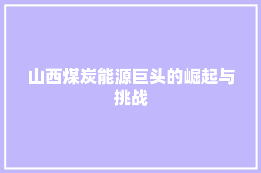 山西煤炭能源巨头的崛起与挑战