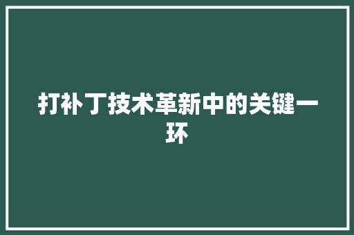 打补丁技术革新中的关键一环