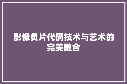 影像负片代码技术与艺术的完美融合