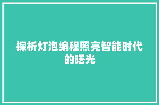 探析灯泡编程照亮智能时代的曙光