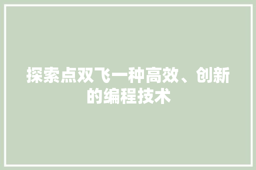 探索点双飞一种高效、创新的编程技术