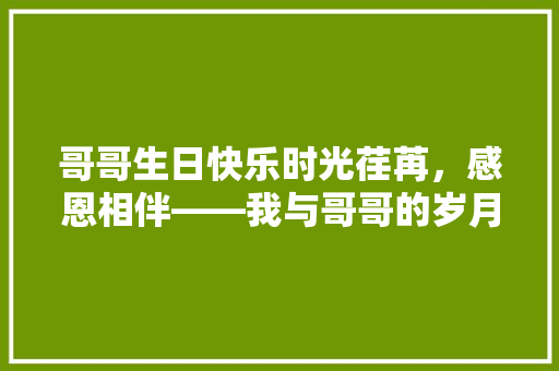 哥哥生日快乐时光荏苒，感恩相伴——我与哥哥的岁月情怀