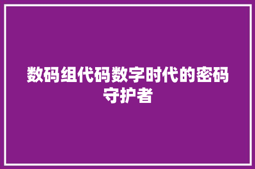 数码组代码数字时代的密码守护者