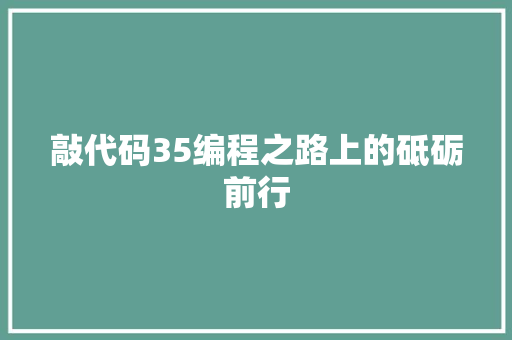 敲代码35编程之路上的砥砺前行