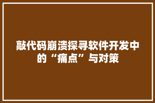 敲代码崩溃探寻软件开发中的“痛点”与对策