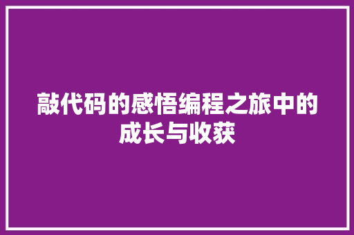 敲代码的感悟编程之旅中的成长与收获