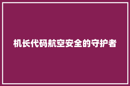 机长代码航空安全的守护者