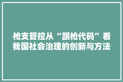 枪支管控从“跟枪代码”看我国社会治理的创新与方法