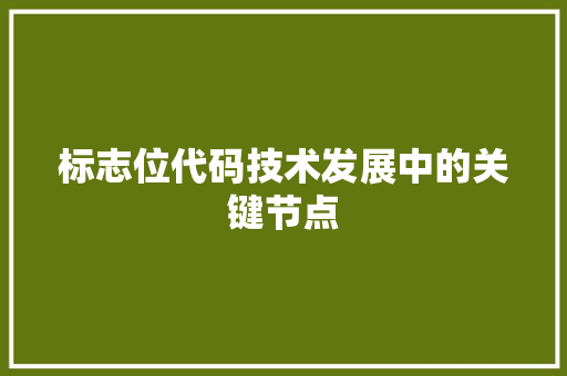 标志位代码技术发展中的关键节点
