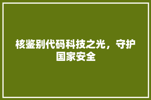 核鉴别代码科技之光，守护国家安全