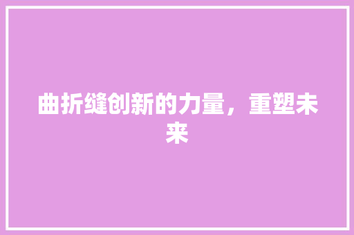 曲折缝创新的力量，重塑未来