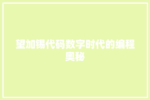 望加锡代码数字时代的编程奥秘