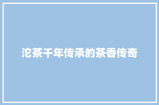 沱茶千年传承的茶香传奇
