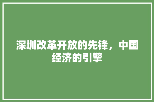 深圳改革开放的先锋，中国经济的引擎