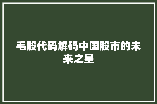 毛股代码解码中国股市的未来之星
