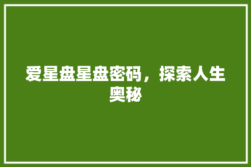爱星盘星盘密码，探索人生奥秘
