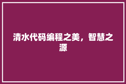 清水代码编程之美，智慧之源