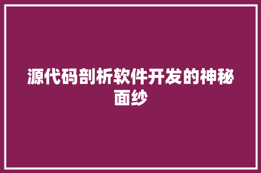 源代码剖析软件开发的神秘面纱