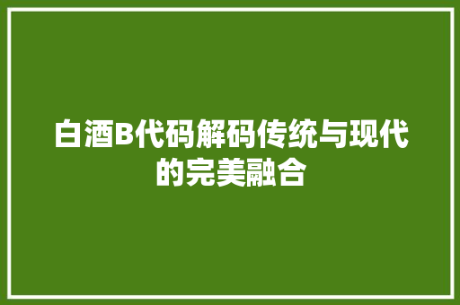 白酒B代码解码传统与现代的完美融合