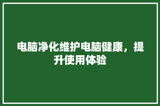 电脑净化维护电脑健康，提升使用体验