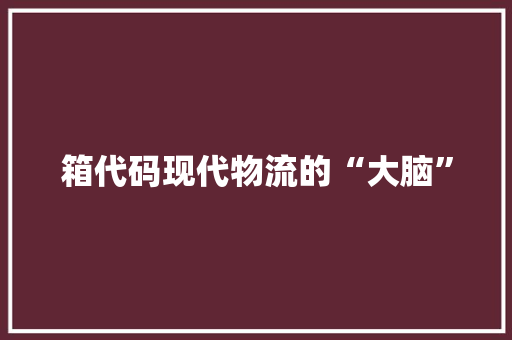 箱代码现代物流的“大脑”