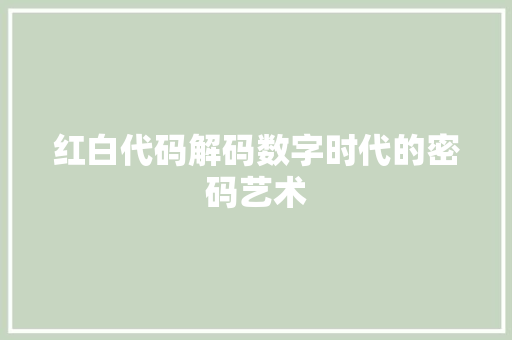 红白代码解码数字时代的密码艺术