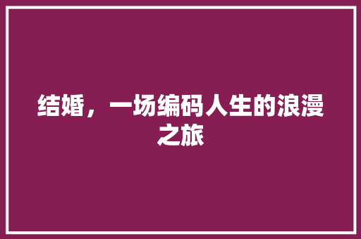 结婚，一场编码人生的浪漫之旅