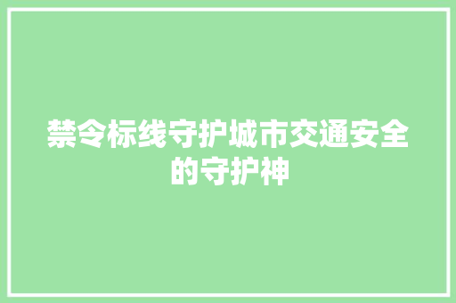 禁令标线守护城市交通安全的守护神