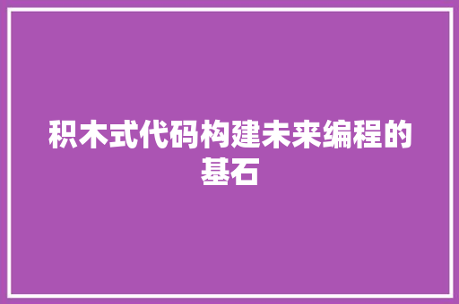 积木式代码构建未来编程的基石
