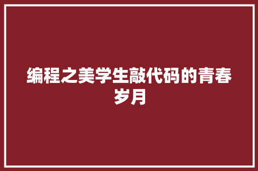 编程之美学生敲代码的青春岁月