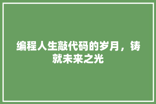 编程人生敲代码的岁月，铸就未来之光