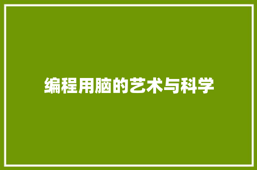 编程用脑的艺术与科学