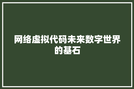 网络虚拟代码未来数字世界的基石