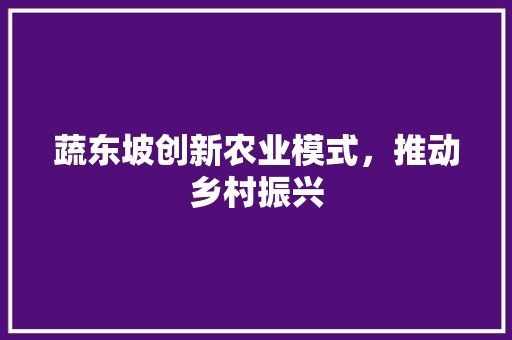 蔬东坡创新农业模式，推动乡村振兴
