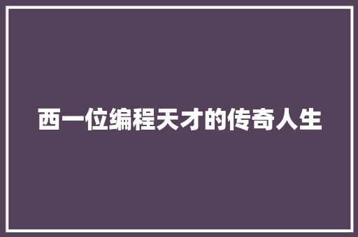 西一位编程天才的传奇人生