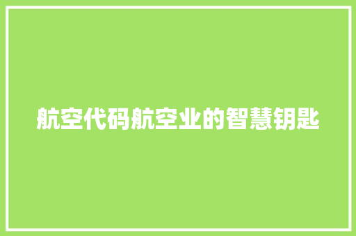航空代码航空业的智慧钥匙