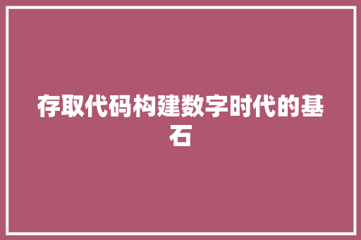 存取代码构建数字时代的基石