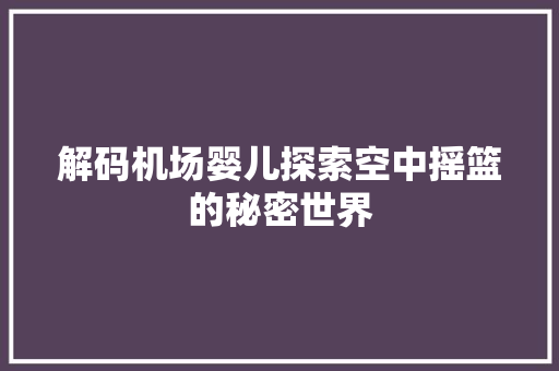 解码机场婴儿探索空中摇篮的秘密世界