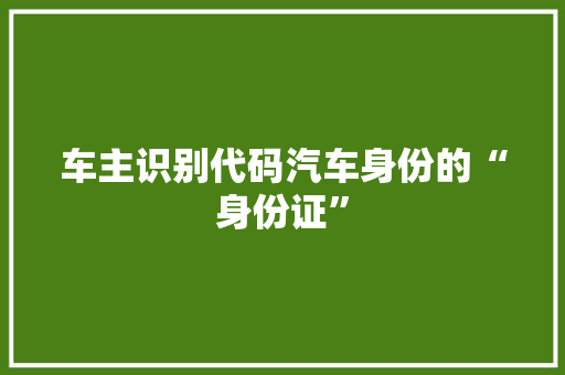 车主识别代码汽车身份的“身份证”
