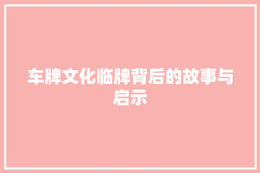 车牌文化临牌背后的故事与启示
