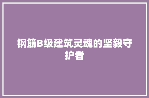 钢筋B级建筑灵魂的坚毅守护者