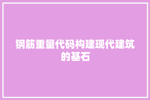 钢筋重量代码构建现代建筑的基石