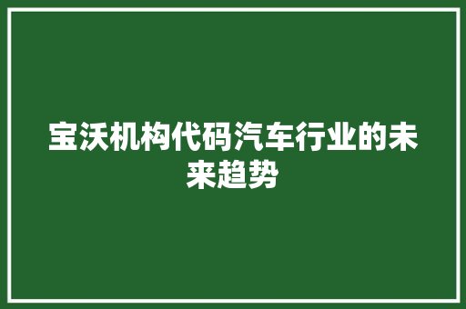 宝沃机构代码汽车行业的未来趋势