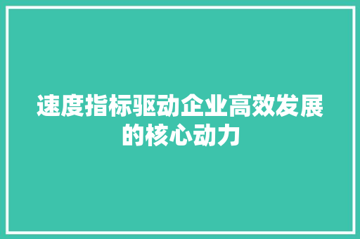 速度指标驱动企业高效发展的核心动力