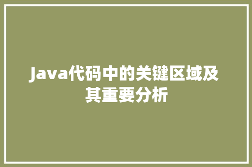 Java代码中的关键区域及其重要分析